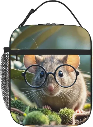Insulated Lunch Bag for Women Men Portable Reusable Lunch Box  Lunch Tote Bag for Work Picnic Travel
