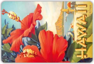 Pacifica Island Art Hawaiian Vintage Postcards for Mailing Pack of 30 - Hibiscus Beach Day by Kerne Erickson